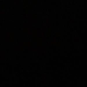 Meet your Posher, Mona